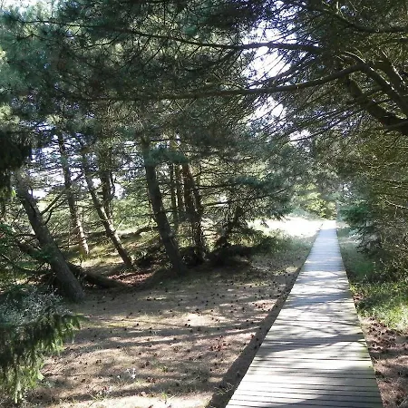 Апартаменты Obere Wandelbahn 15 Whg. 6 Витдюн